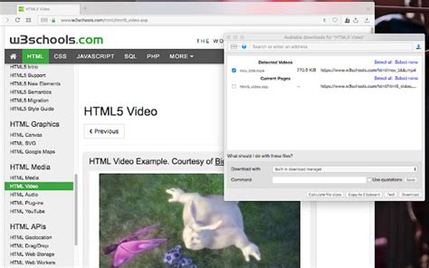 Easy Video Downloader .